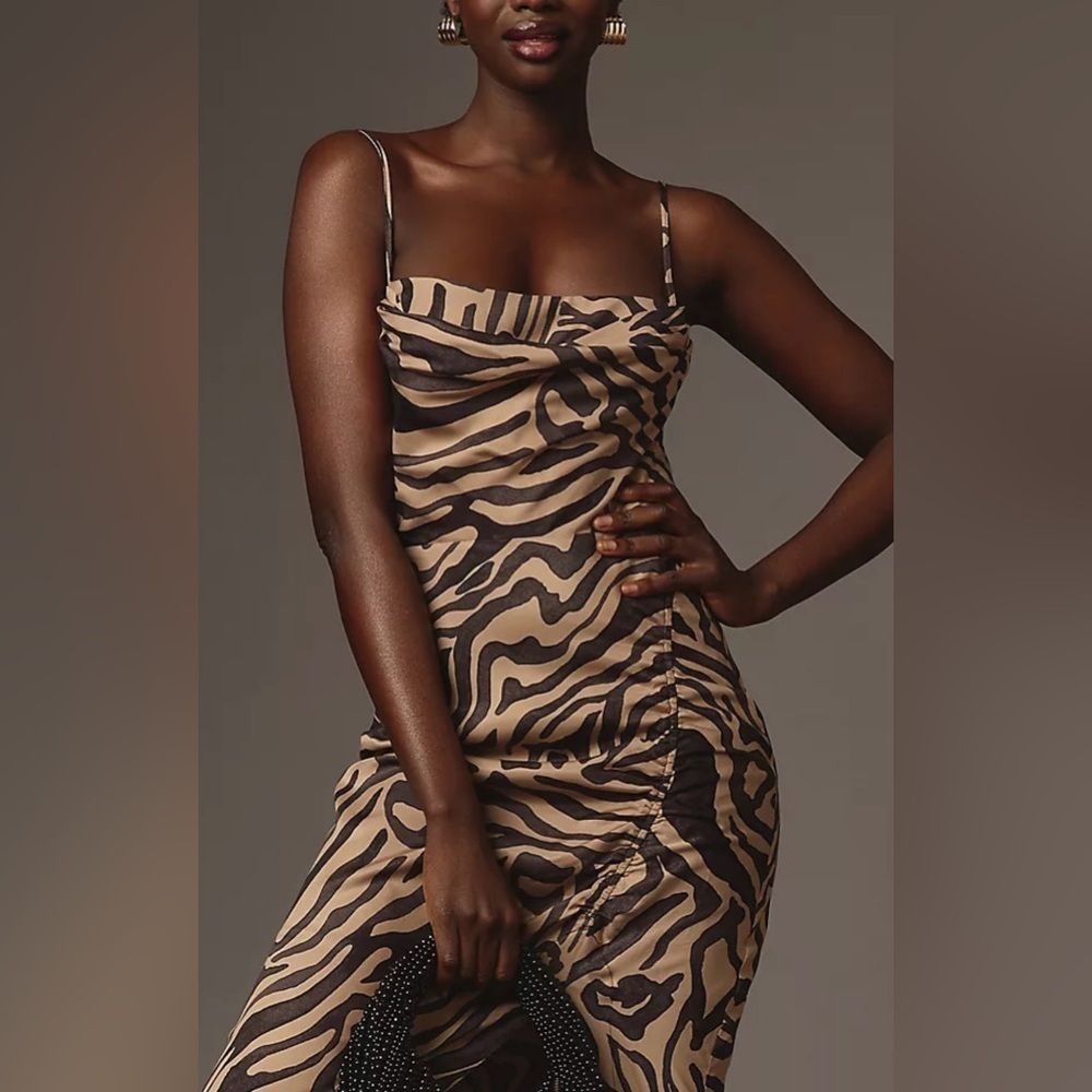 Anthropologie Tiger Print Corset Midi Dress Medium